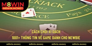 Cách Chơi Xì Dách - 1001+ Thông Tin Về Game Dành Cho Newbie