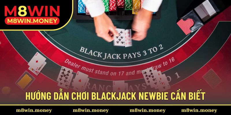 Hướng dẫn chơi blackjack newbie cần biết