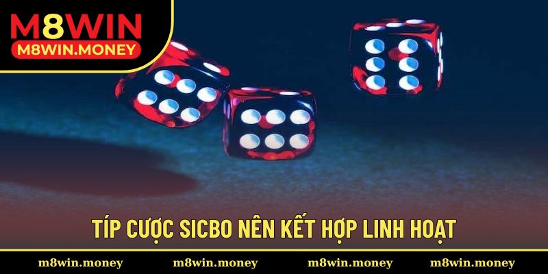 Típ cược sicbo nên kết hợp linh hoạt