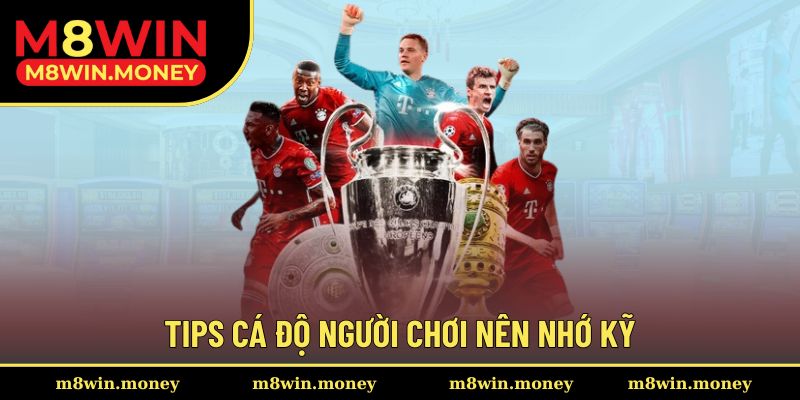 Tips cá độ người chơi nên nhớ kỹ